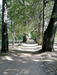 Лиханов Альберт Анатольевич. Новости.