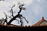 Визит в КНР