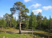 Лиханов Альберт Анатольевич. Новости