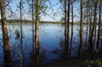 Половодье Вятки